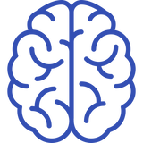 Brain & Focus Support